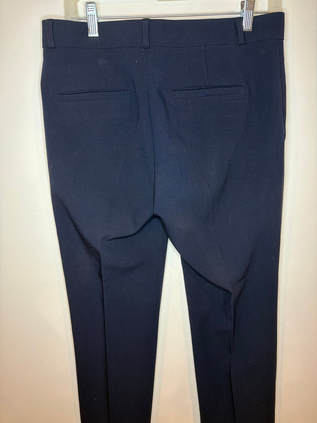 Banana Republic Blue Pants, 4S