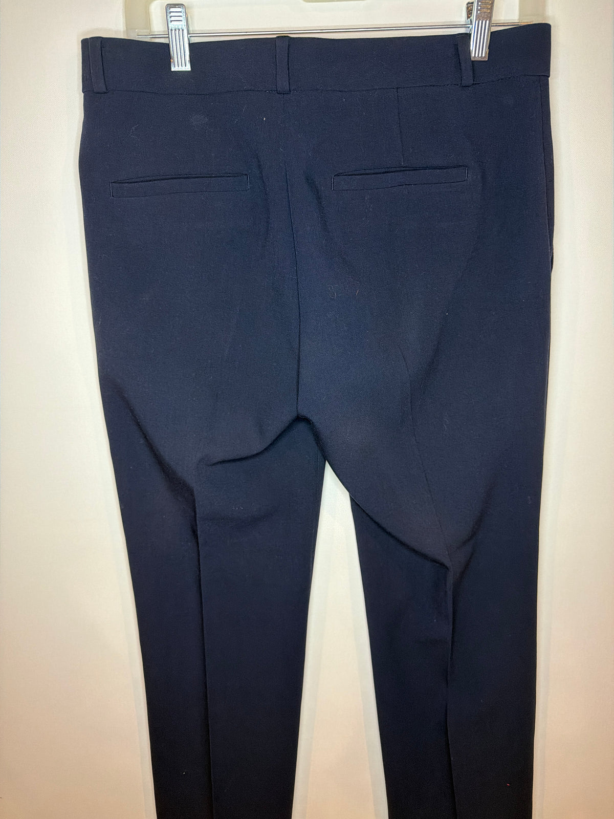 Banana Republic Blue Pants, 4S